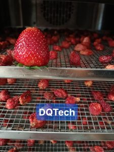 Máy sấy hoa quả gia đình DQTech