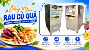 Máy sấy rau củ quả công nghiệp