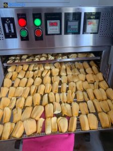 Máy sấy mít DQTech