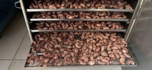 Máy sấy hạt điều DQTech