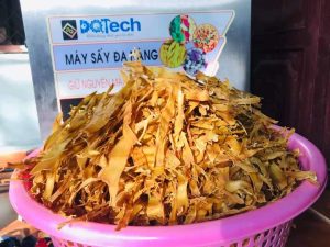 Máy sấy măng khô DQTech chính hãng