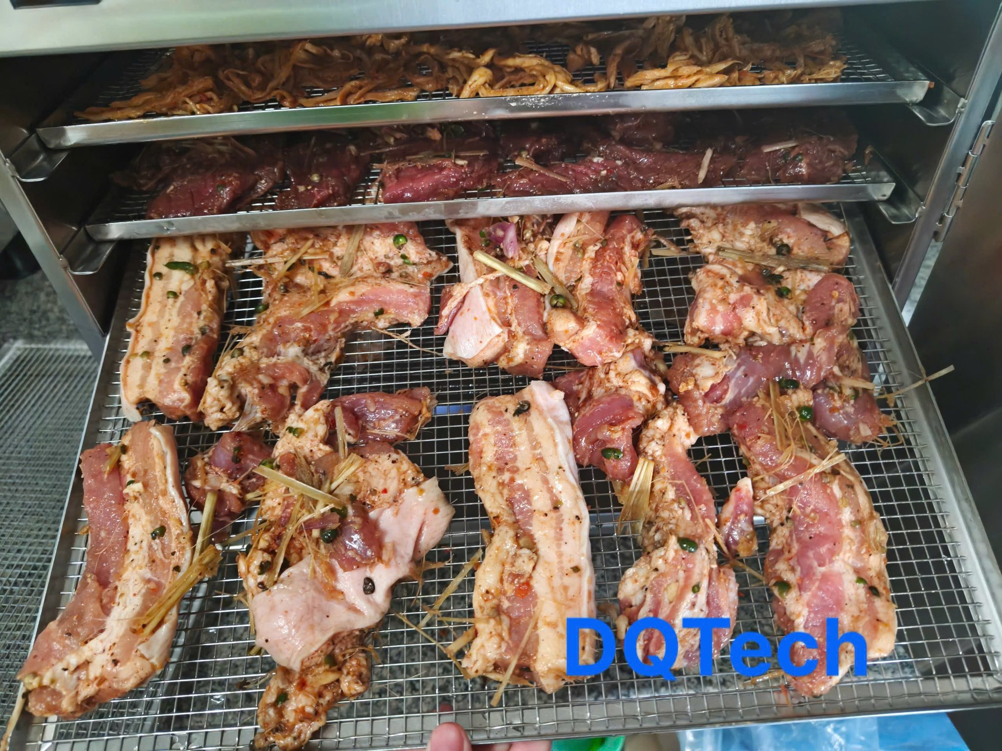 Máy sấy thịt DQTech Máy sấy thịt DQTech