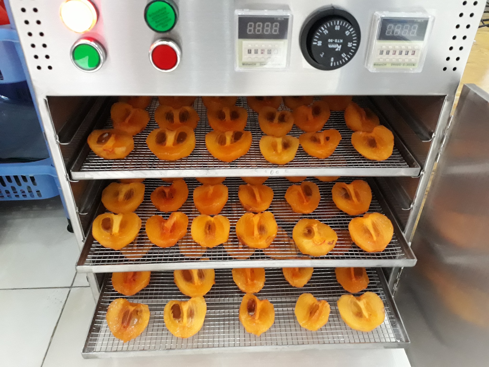 Máy sấy trái cây DQTech Máy sấy trái cây DQTech