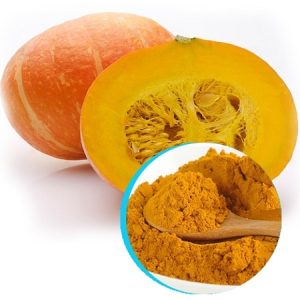 Sấy bột bí đỏ bằng máy sấy thực phẩm DQTech