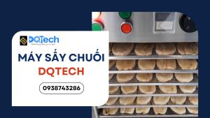 Máy sấy chuối DQTech