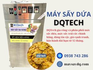 Máy sấy dứa DQTech