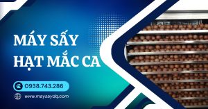 Máy sấy hạt macca DQTech