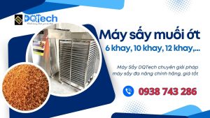 Máy sấy muối ớt DQTech