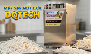 Máy sấy mứt dừa DQTech