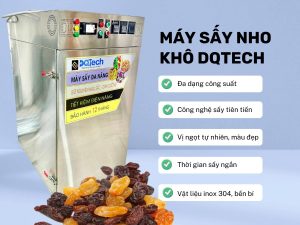 Máy sấy nho khô DQTech