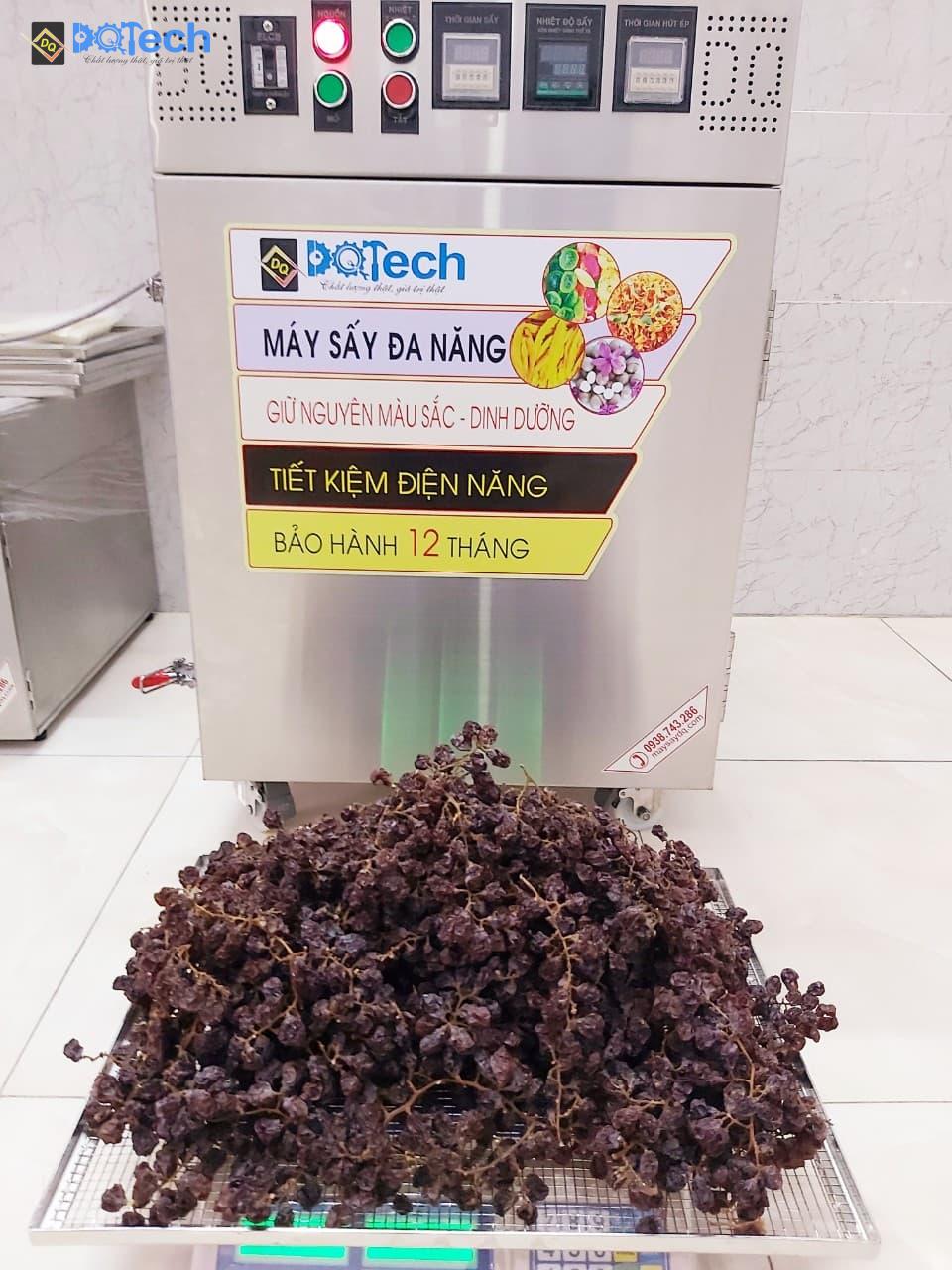 Nho Ninh Thuận sấy khô bằng máy sấy đa năng DQTech Nho Ninh Thuận sấy khô bằng máy sấy đa năng DQTech