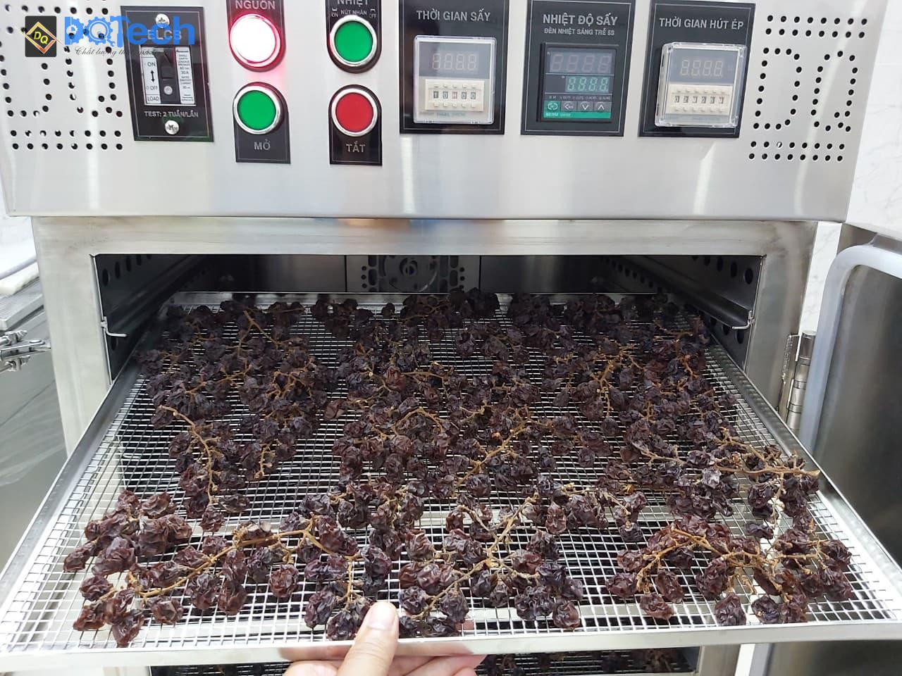 Nho sấy dẻo bằng công nghệ sấy gió nóng DQ Nho sấy dẻo bằng công nghệ sấy gió nóng DQ