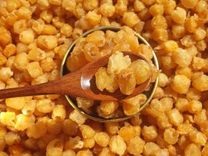 Cách làm long nhãn sấy khô bằng máy sấy thực phẩm