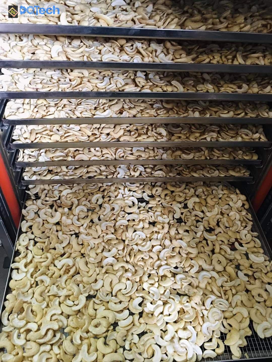 Cách sấy hạt điều bằng máy sấy DQTech Cách sấy hạt điều bằng máy sấy DQTech