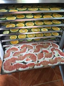 Máy sấy hoa quả DQTech