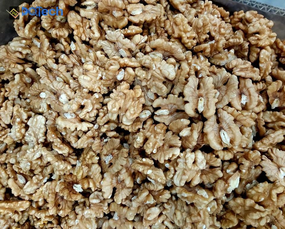 Hạt óc chó sấy khô bằng tủ sấy đa năng DQ Hạt óc chó sấy khô bằng tủ sấy đa năng DQ