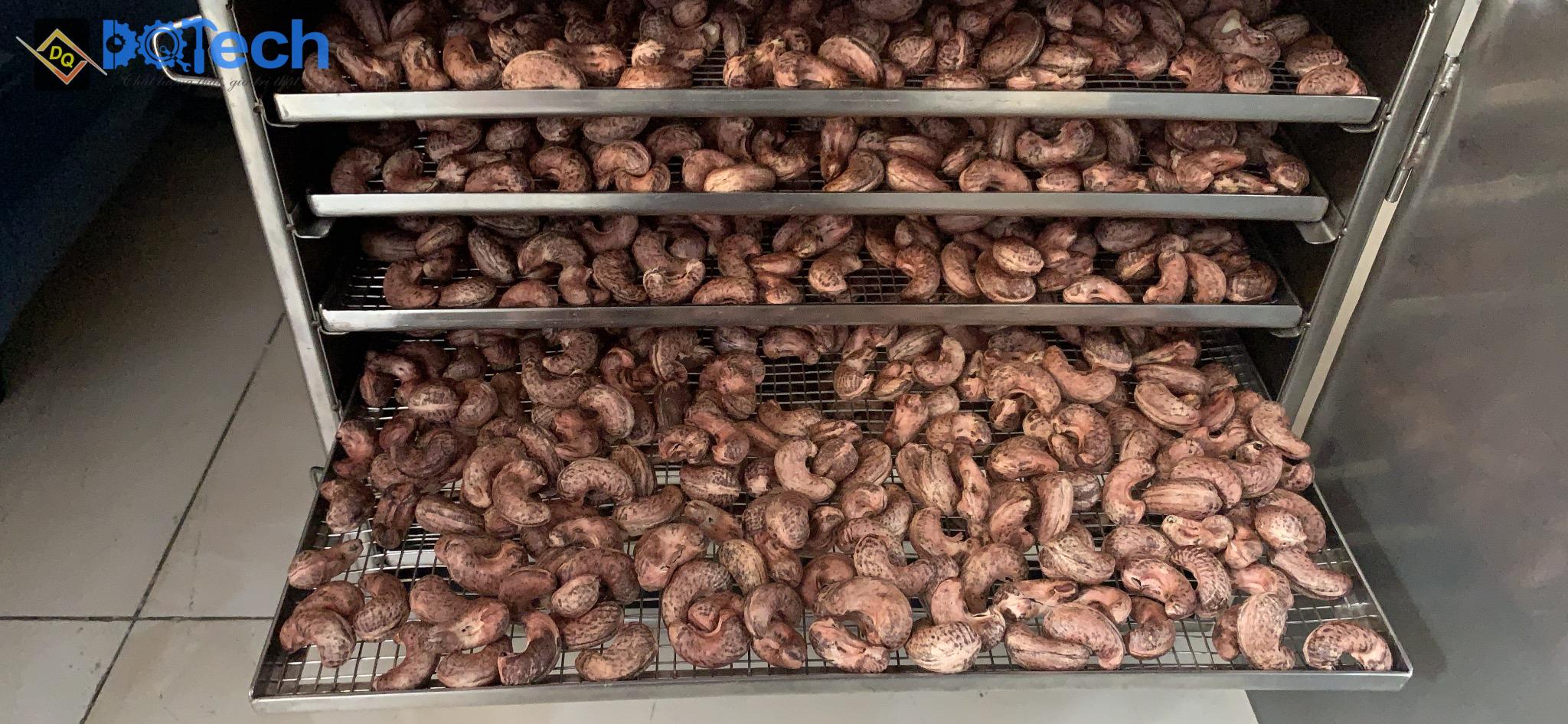 Máy sấy hạt điều khô DQTech Máy sấy hạt điều khô DQTech