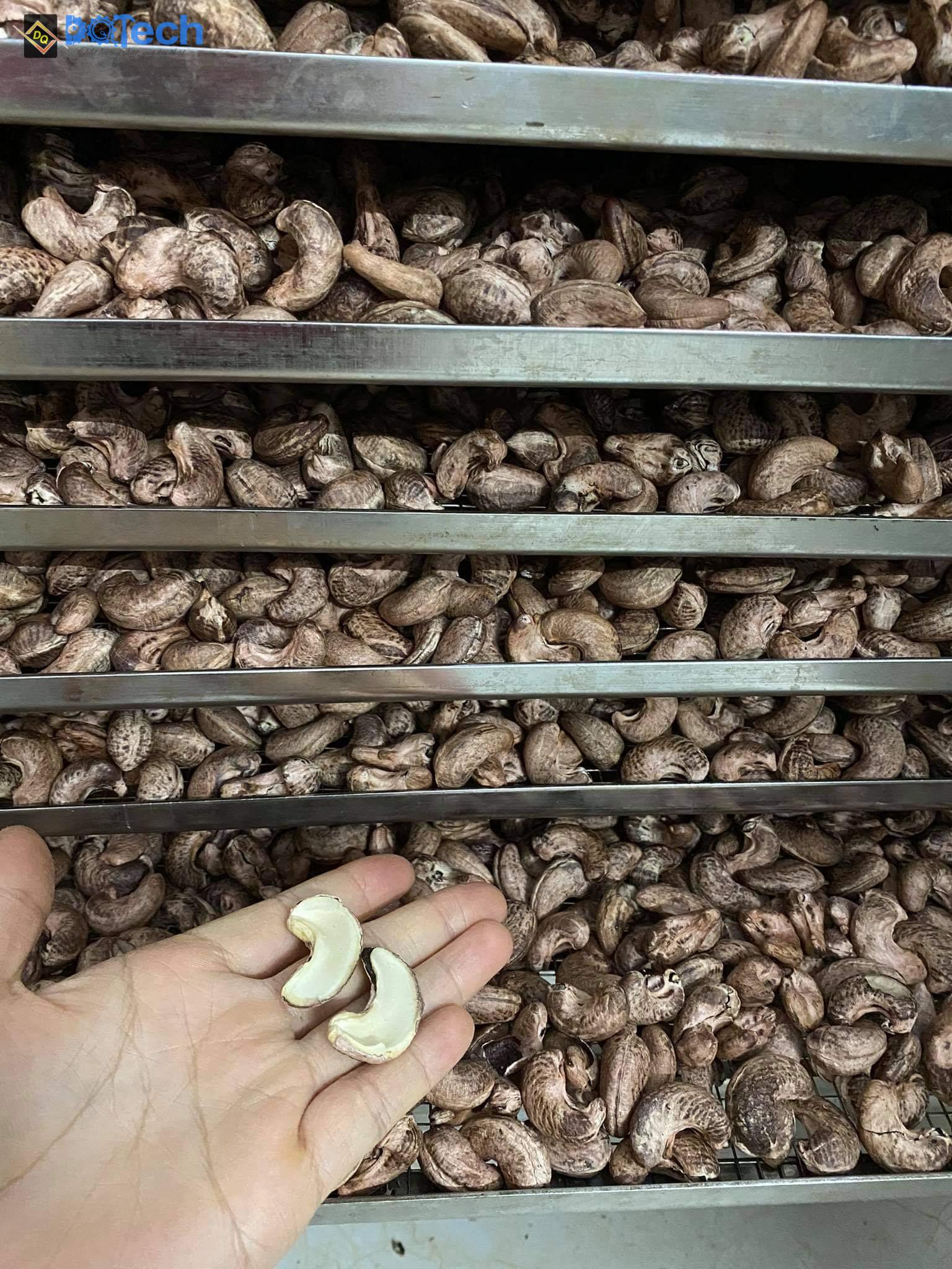 Máy sấy hạt điều DQ Máy sấy hạt điều DQ