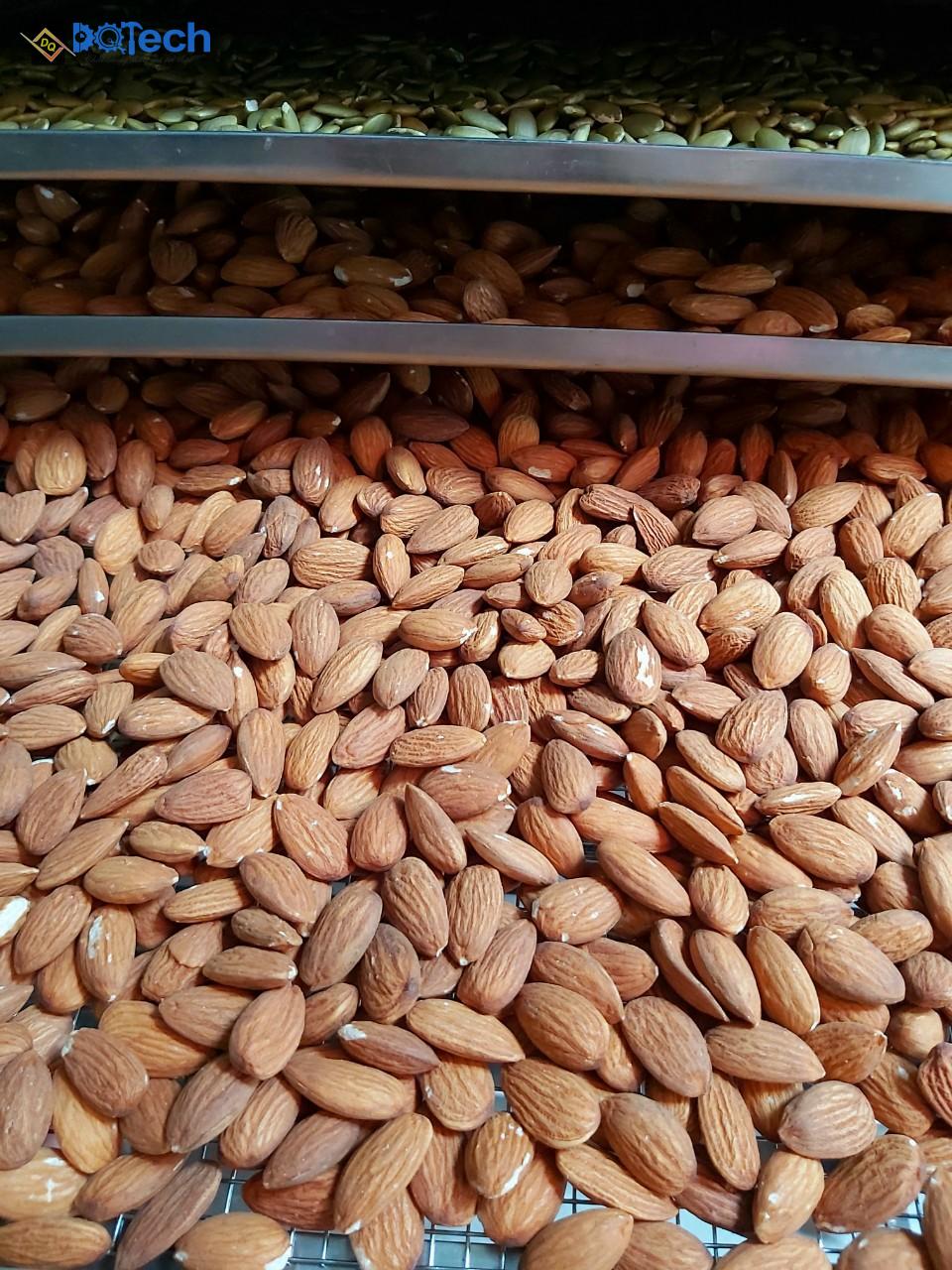 Hạnh nhân sấy khô bằng máy sấy đa năng DQTech Hạnh nhân sấy khô bằng máy sấy đa năng DQTech