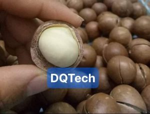 Máy sấy hạt mắc ca