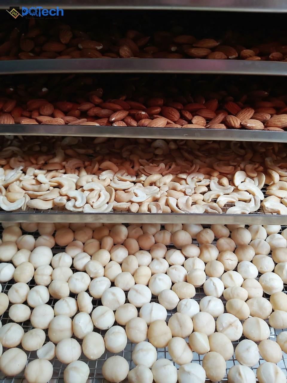 Máy sấy hạt macca DQTech Máy sấy hạt macca DQTech