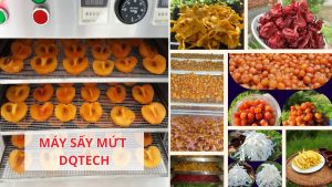 Máy sấy mứt công nghiệp DQTech