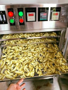 Máy sấy vỏ bưởi DQTech