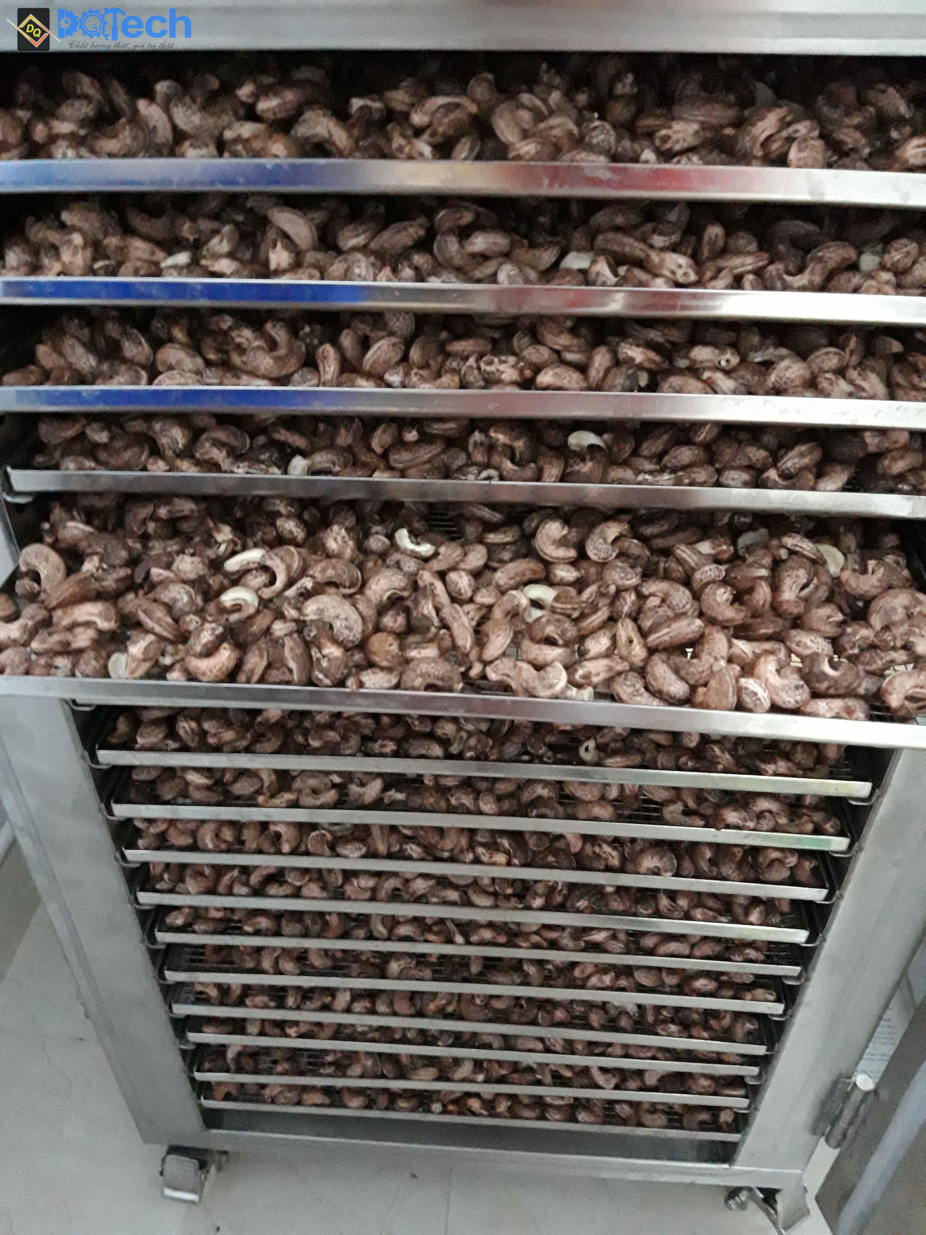 Sấy hạt điều khô bằng máy sấy thực phẩm DQTech Sấy hạt điều khô bằng máy sấy thực phẩm DQTech