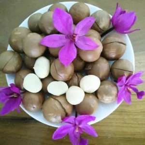 Sấy hạt mắc ca