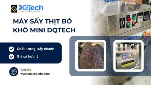 Máy sấy thịt bò khô mini DQTech