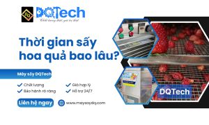 Thời gian sấy hoa quả bao lâu?