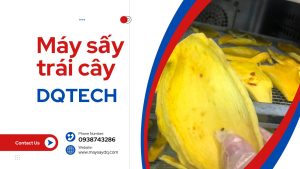 Máy sấy trái cây DQTech