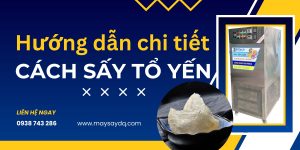 Cách sấy tổ yến
