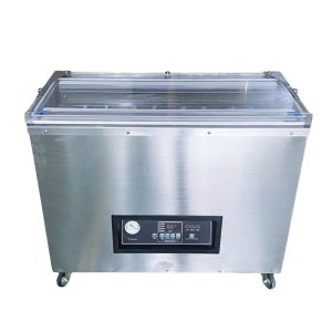 Máy hút chân không công nghiệp DZ-850/2E