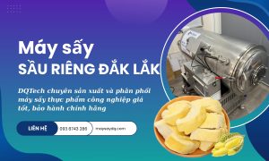 Máy sấy sầu riêng Đắk Lắk