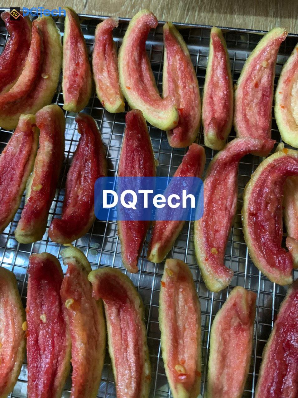 Mứt ổi sấy bằng máy sấy đa năng DQTech Mứt ổi sấy bằng máy sấy đa năng DQTech