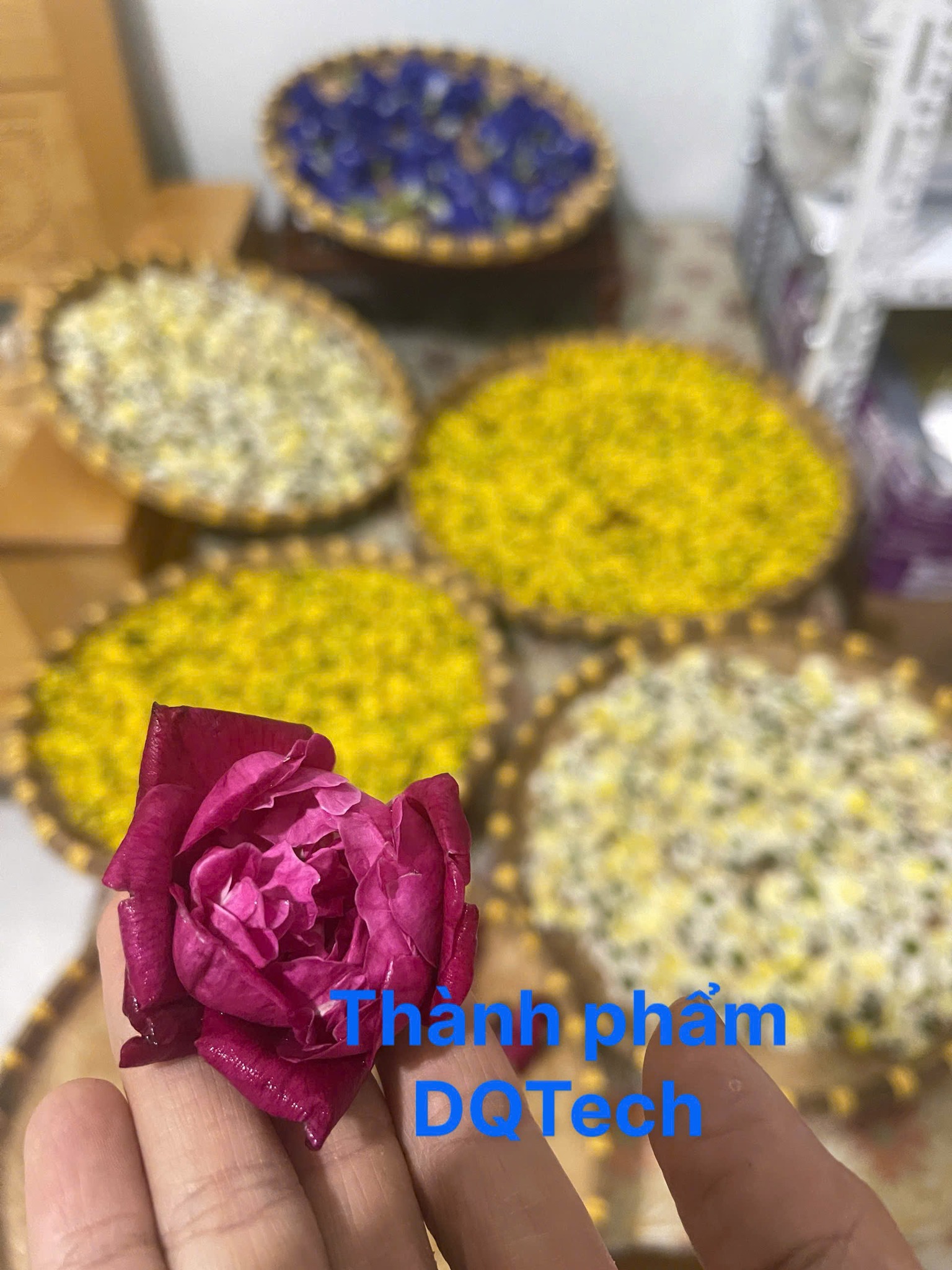 Thành phẩm hoa sau khi sấy thăng hoa đẹp mãn nhãn, giá trị dinh dưỡng được bảo toàn