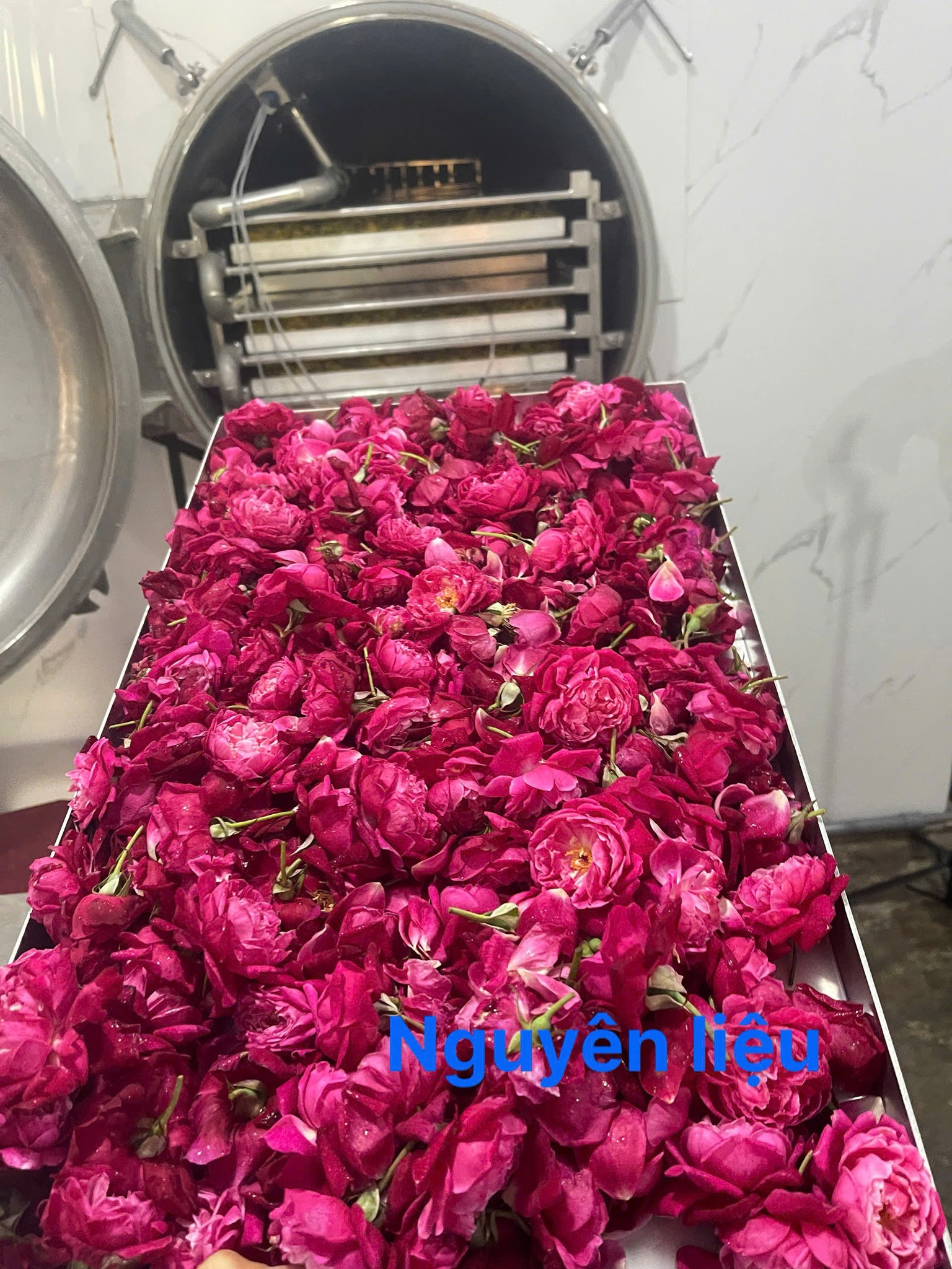 Nguyên liệu hoa hồng sấy