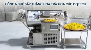 Sấy trà hoa cúc bằng máy sấy thăng hoa DQTech