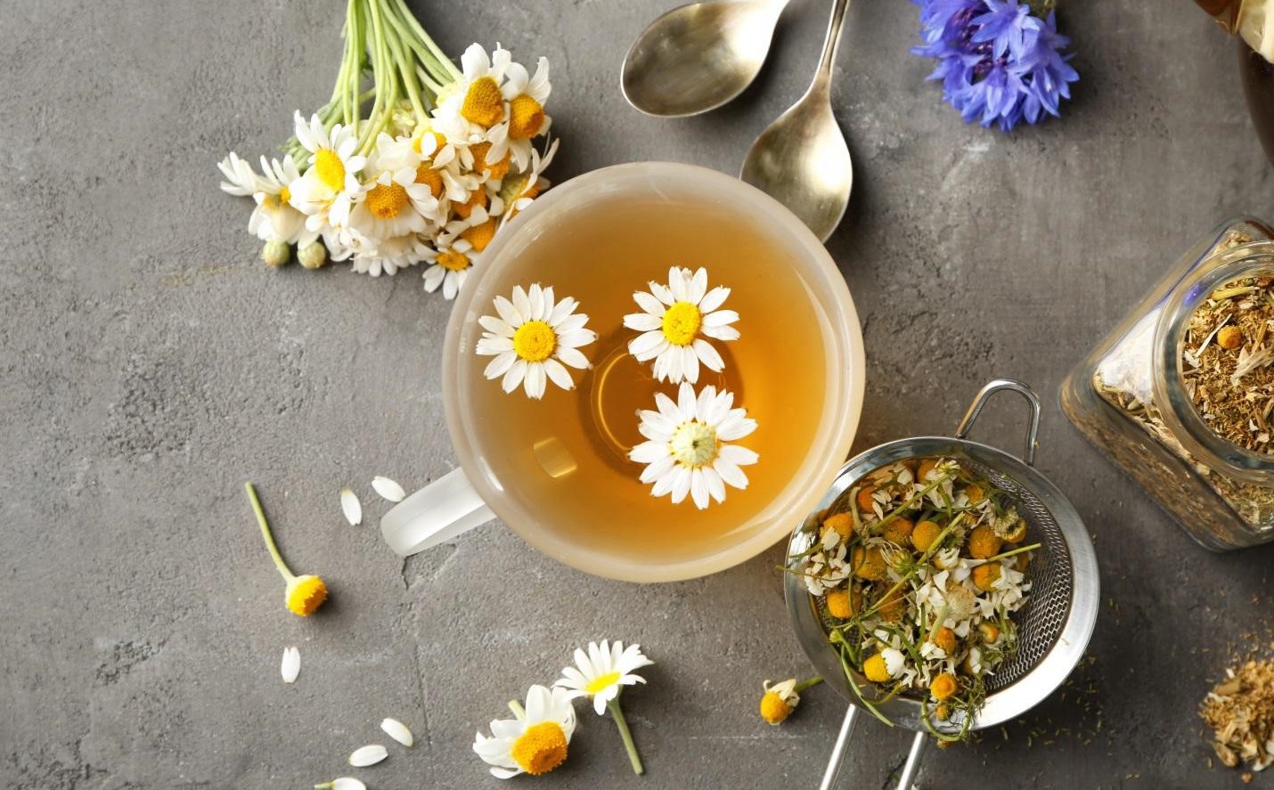 Trà hoa cúc đối với sức khỏe người dùng Trà hoa cúc đối với sức khỏe người dùng