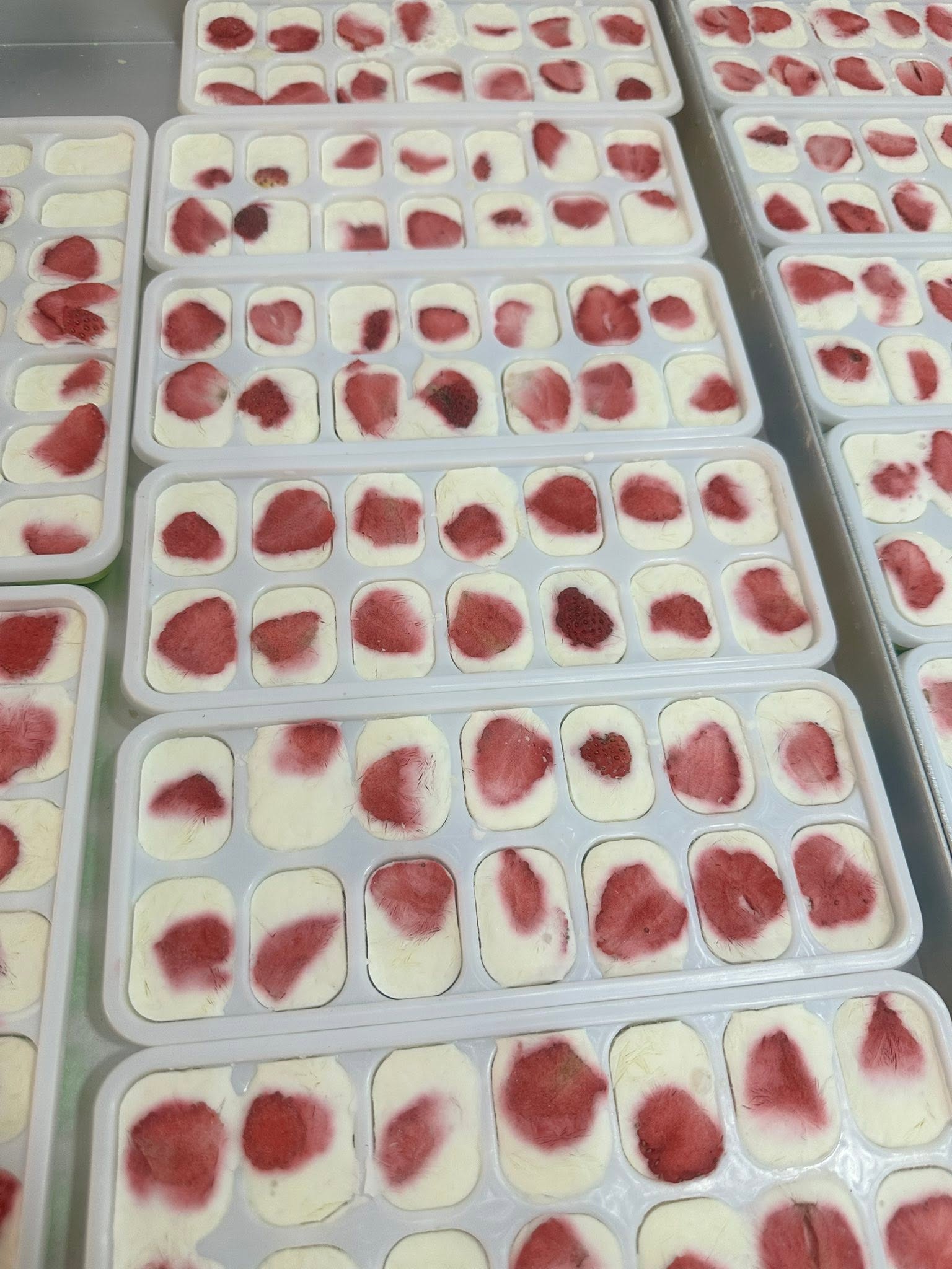 Sữa chua sấy thăng hoa màu tự nhiên Sữa chua sấy thăng hoa màu tự nhiên