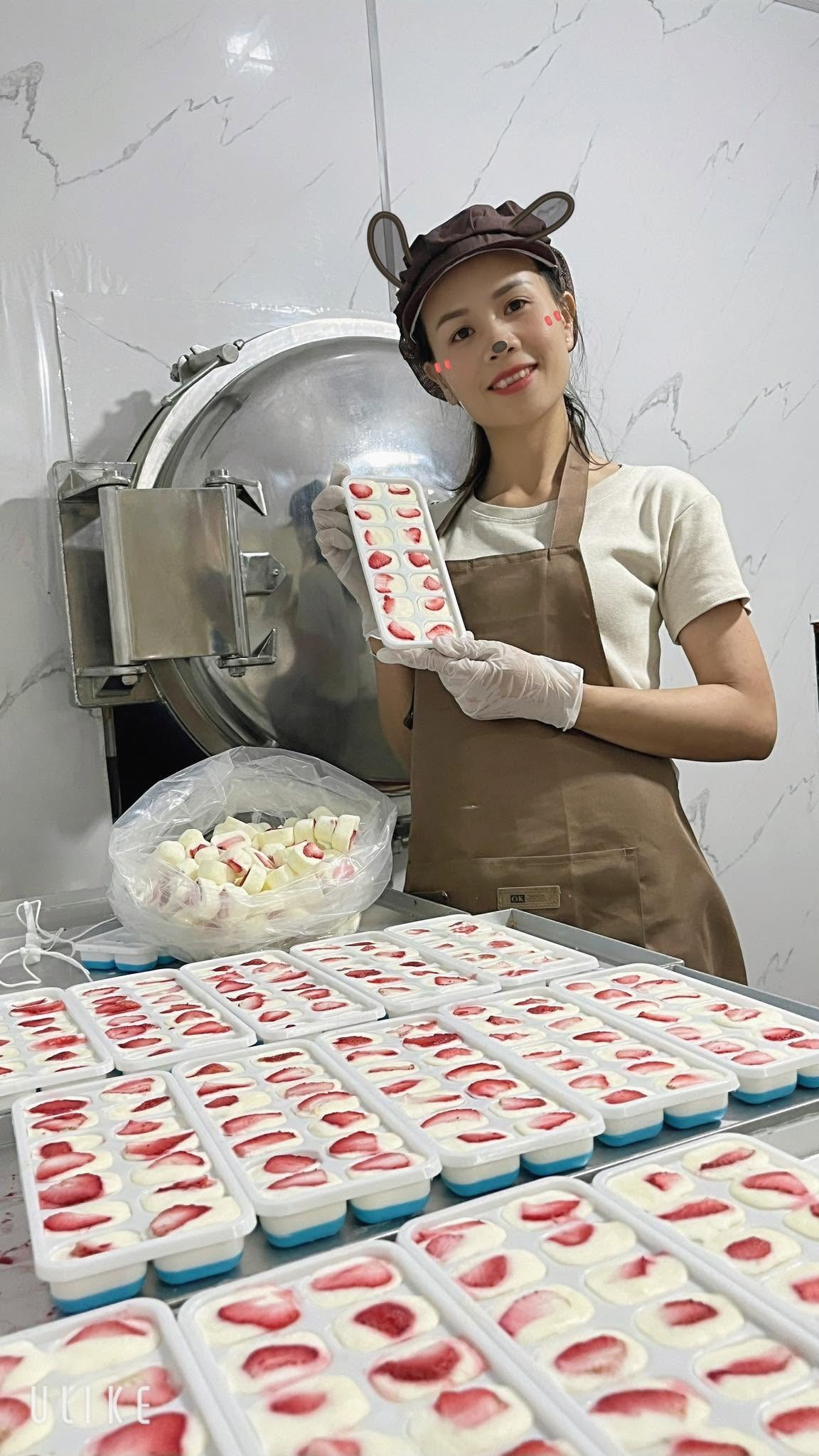 Sấy đông khô sữa chua Sấy đông khô sữa chua