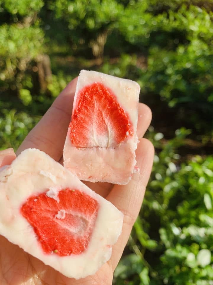 Sữa chua sấy thăng hoa mix dâu tây Sữa chua sấy thăng hoa mix dâu tây