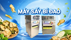 Máy sấy bí đao khô DQTech