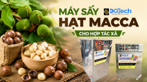 Máy sấy hạt macca cho hợp tác xã