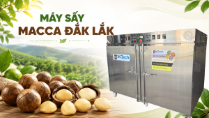 Máy sấy macca Đắk Lắk