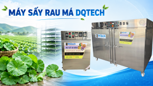 Máy sấy rau má DQTech