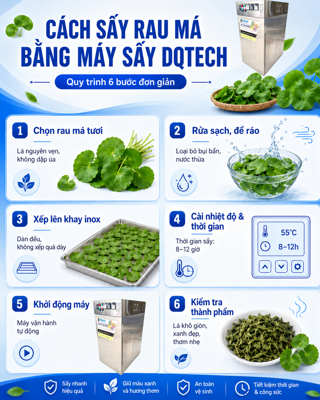 Quy trình sấy rau má bằng máy sấy thực phẩm DQTech Quy trình sấy rau má bằng máy sấy thực phẩm DQTech