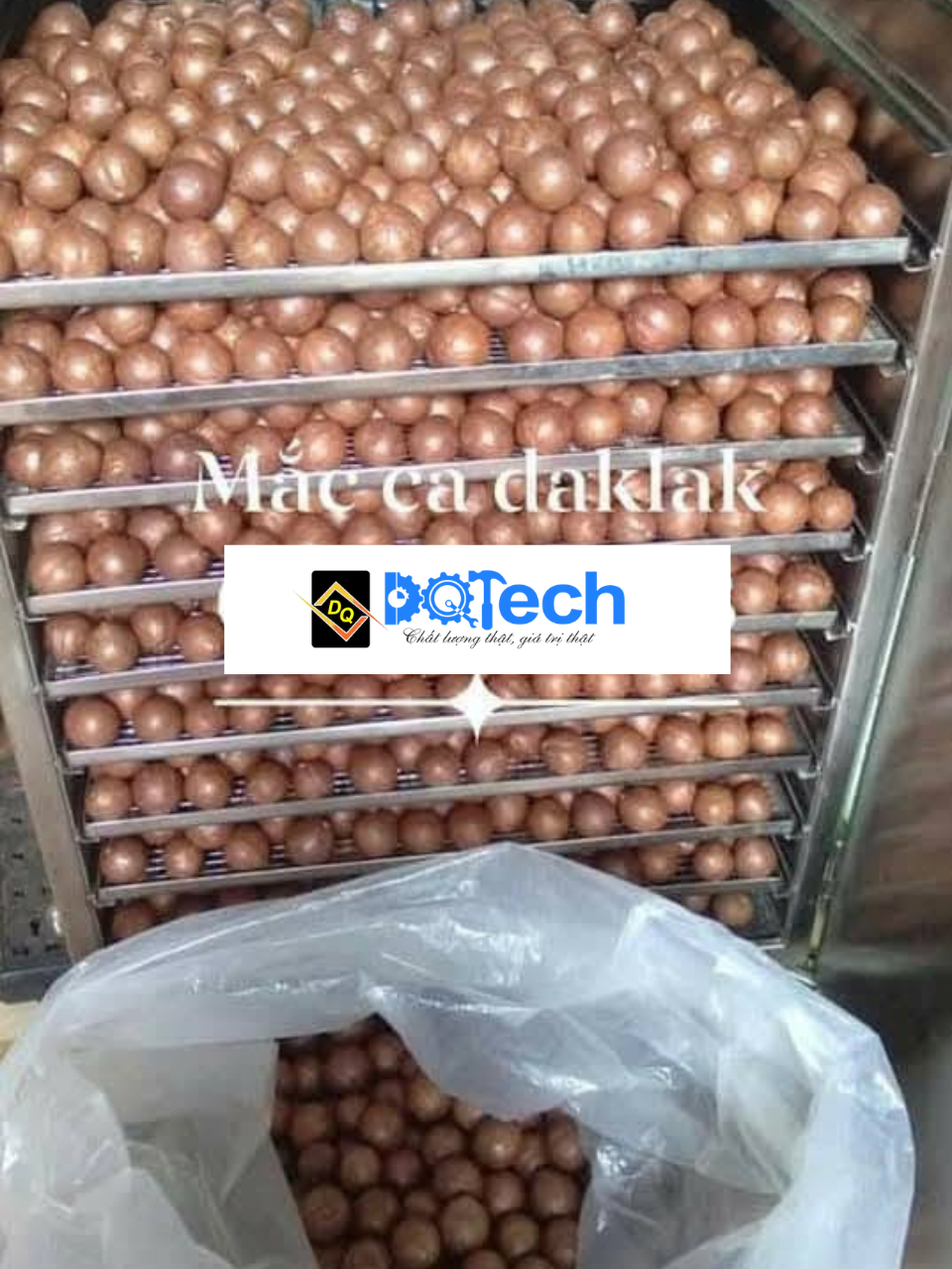 Quy trình sấy macca đạt chuẩn Quy trình sấy macca đạt chuẩn