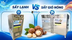 Sấy macca bằng sấy lạnh hay sấy gió nóng?
